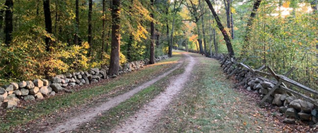 To arms, to arms, the Red Coats are coming (a road much like the patriots might have ridden on that dark night)